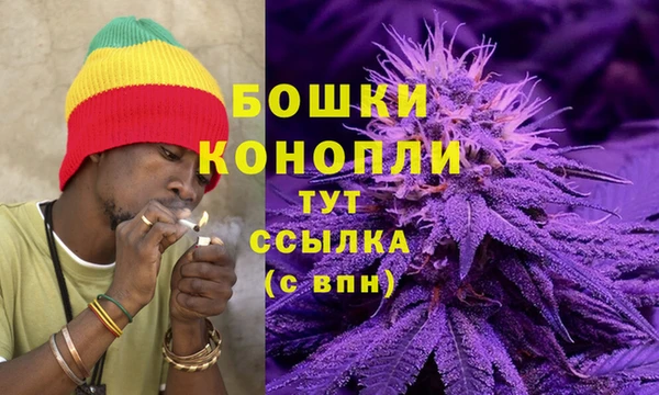 гидра Надым