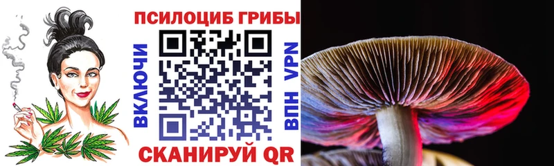 Галлюциногенные грибы MAGIC MUSHROOMS цены наркотик Питкяранта