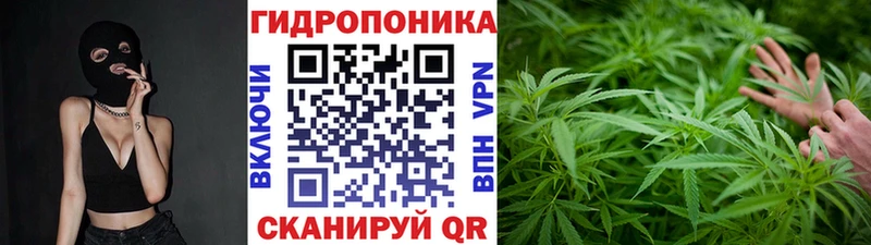 продажа наркотиков  Питкяранта  МАРИХУАНА AK-47 